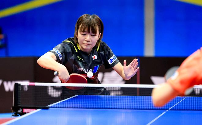 0轻取所罗 0轻取所罗