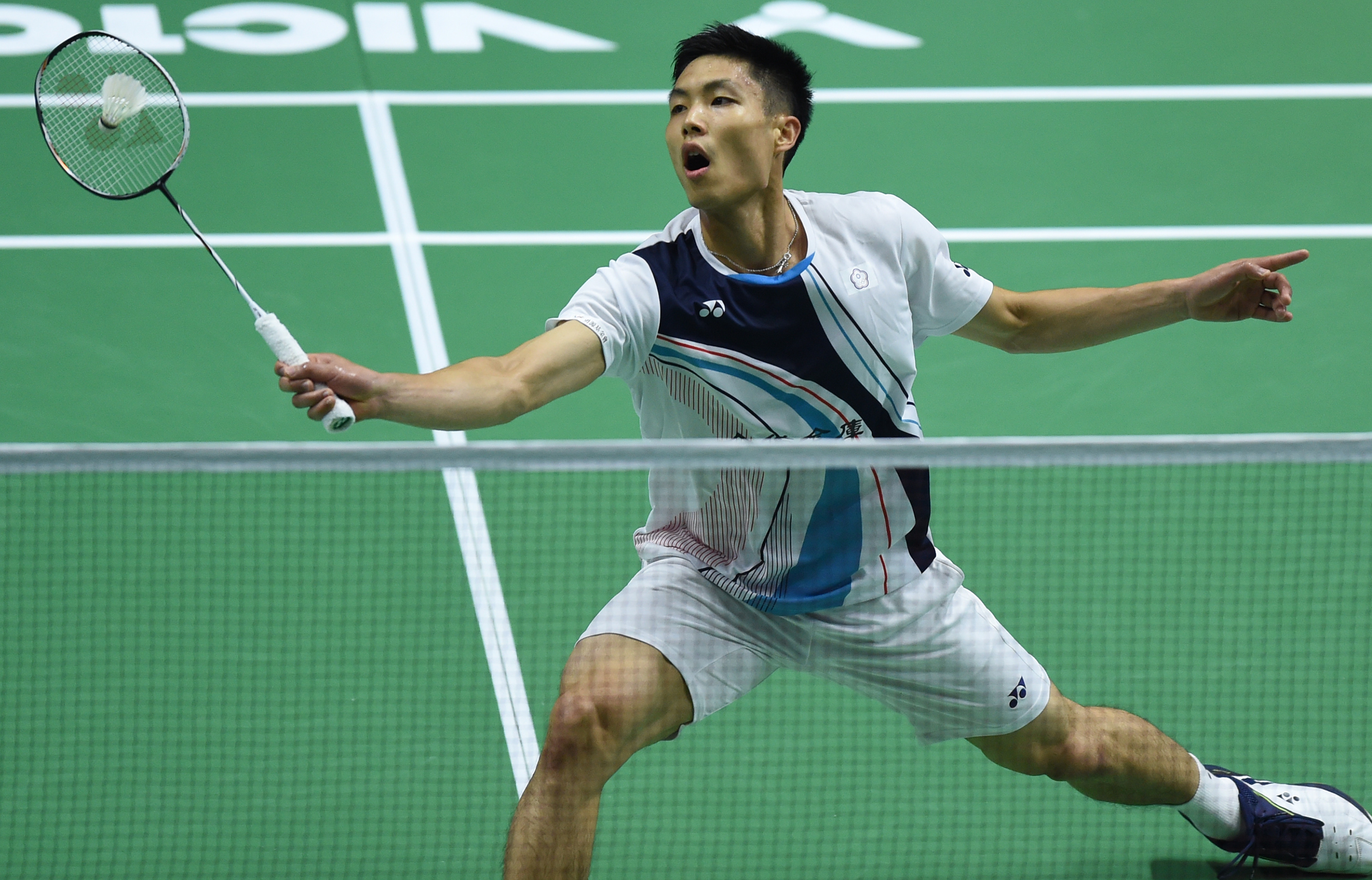 爱好者们最 爱好者们最